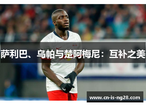 萨利巴、乌帕与楚阿梅尼：互补之美