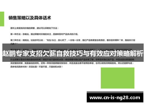 赵鹏专家支招欠薪自救技巧与有效应对策略解析