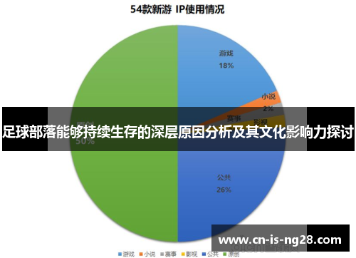 足球部落能够持续生存的深层原因分析及其文化影响力探讨