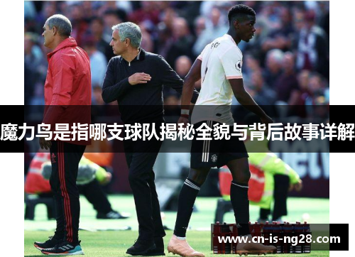 魔力鸟是指哪支球队揭秘全貌与背后故事详解